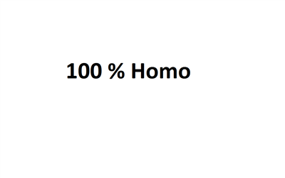 Homo 100%