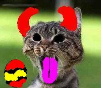 easter cat