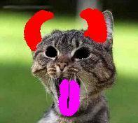 metal cat