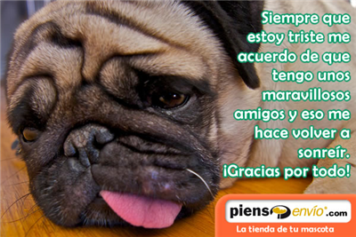 Gracias por ser mi amig@