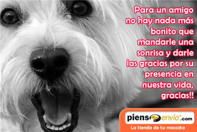 Te regalo una sonrisa