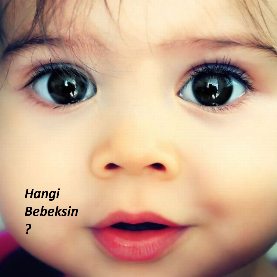 Hangi Bebeksin 