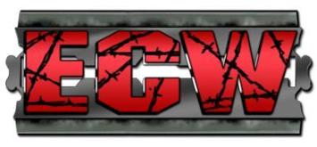 Wwe De Hangi Federasyona Girmelisin?