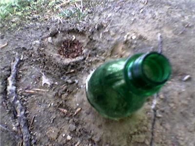 Earth Pibe