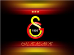 Rengine Göre Takım