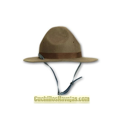 Cappellone
