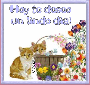 hoy te deseo un feliz dia!