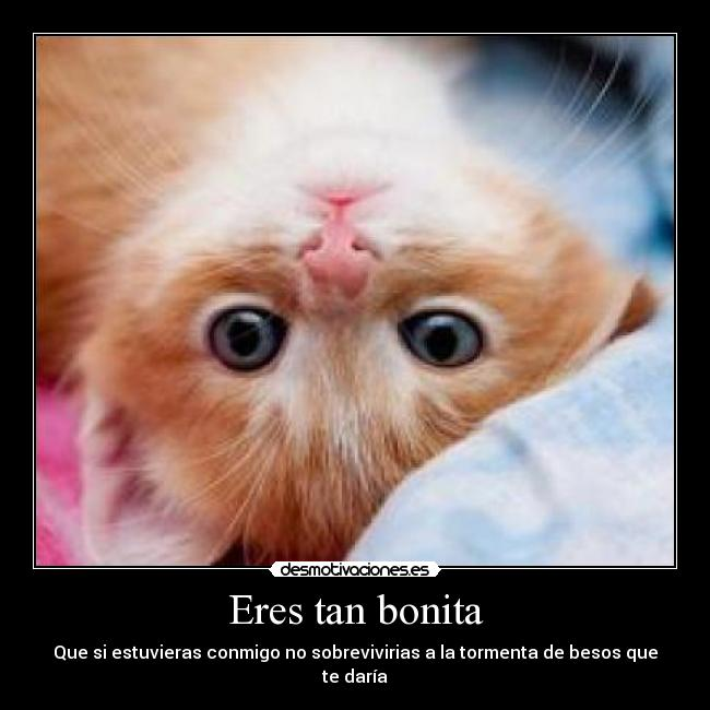 Que Tan Bonita(O) Eres