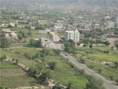 my city 