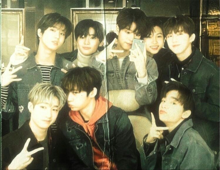 Hangi straykids Üyesi kocan