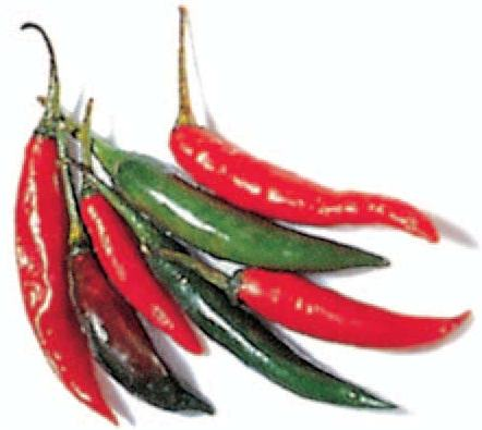CHILLI