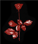 Symbols Of The Dm