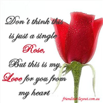 Red Roses