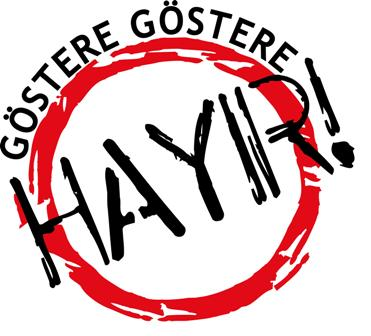 Referandum Anketi