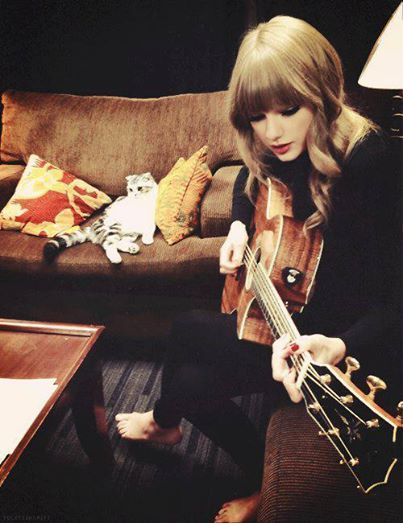 %Kaç Swiftie'sin?