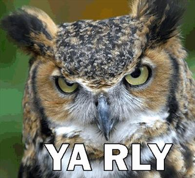 O Rly ? Ya Rly