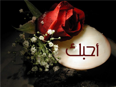 أحبك