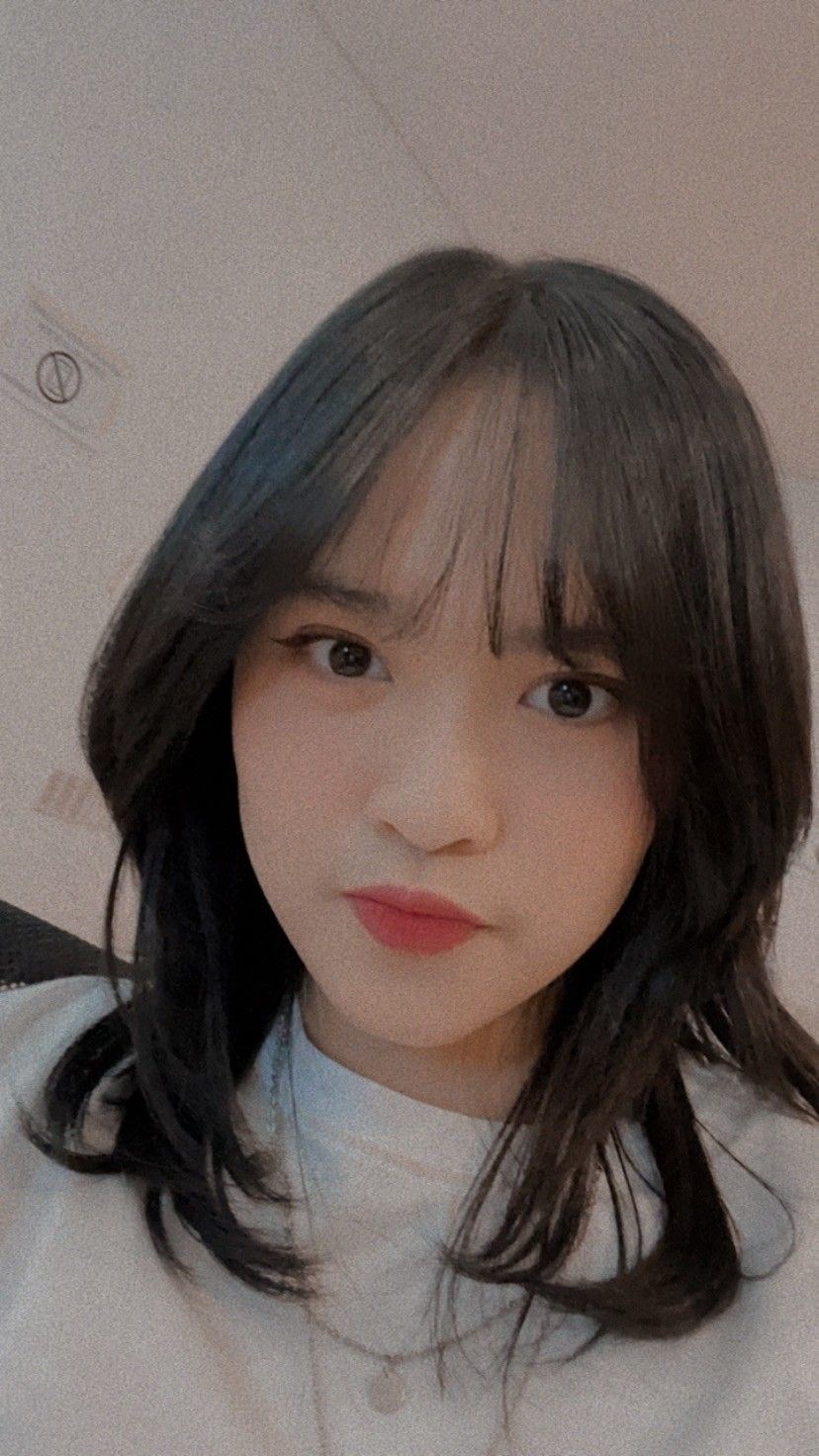 Tentang Jkt 48