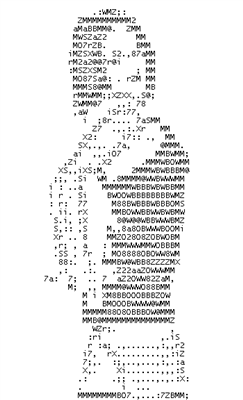 resim2