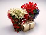 Flower3