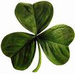 Lucky Or Unlucky