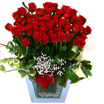 Hermosas Flores
