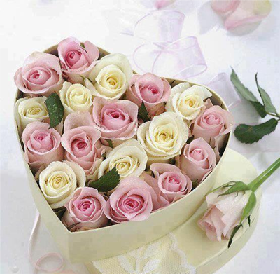 ROSAS