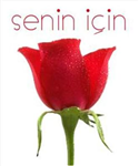Hediyeni Seç Ve İstediğine Gönder