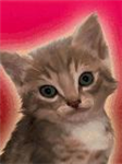 Gatitos Cats