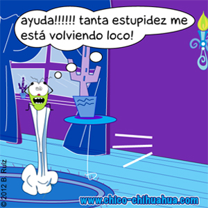 Pulga, para volverse loco