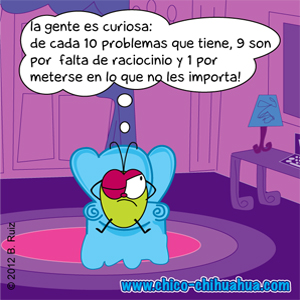 consejo Pulga© curiosidades de la gente