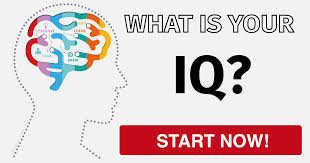Iq Testi