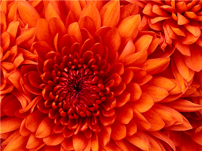 fsgjfsj