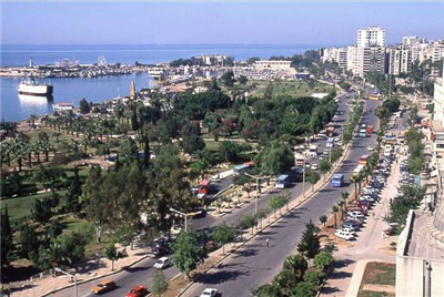 MeRSiN
