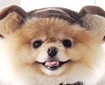BOO