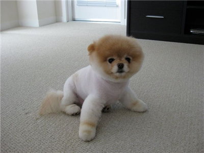 BOO