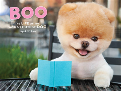 BOO