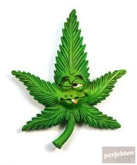 Пушиш Ли Joint