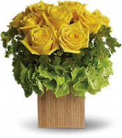 Yellow rose