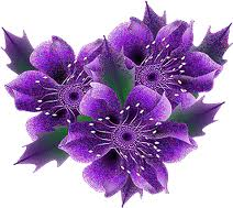Purple flower