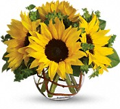 Yellow flowers