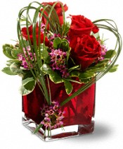 Lover's rose