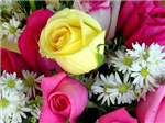For You