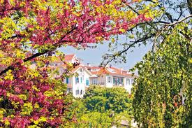 erguvanlar 
