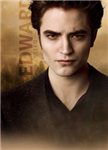 Twilight New Moon