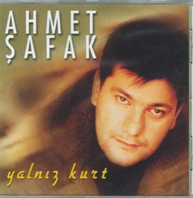 Hangi Ülkücü Sanatçısınız?
