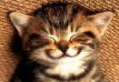 Smilez