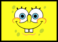 Lets get spongey