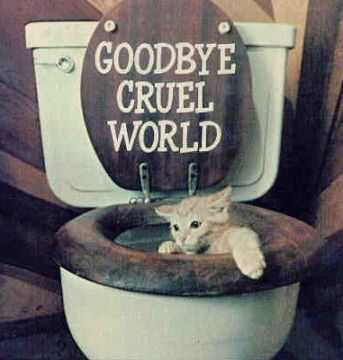 Goodbye funny