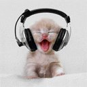 Kitty Katt